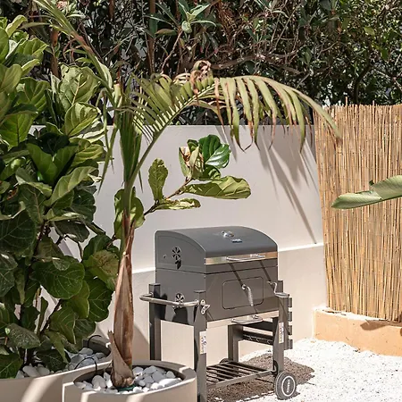 Aurea * Kato Daratso